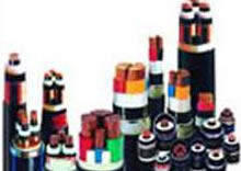 1463212076640011.jpg 1.jpg